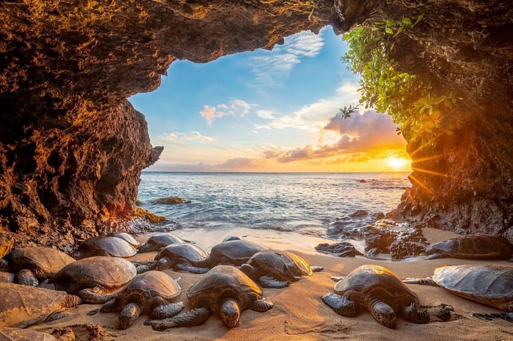 Beach Cave