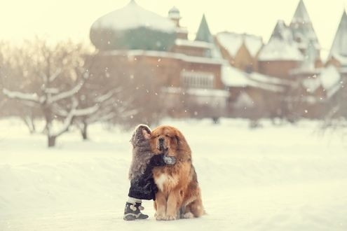 обнимашки