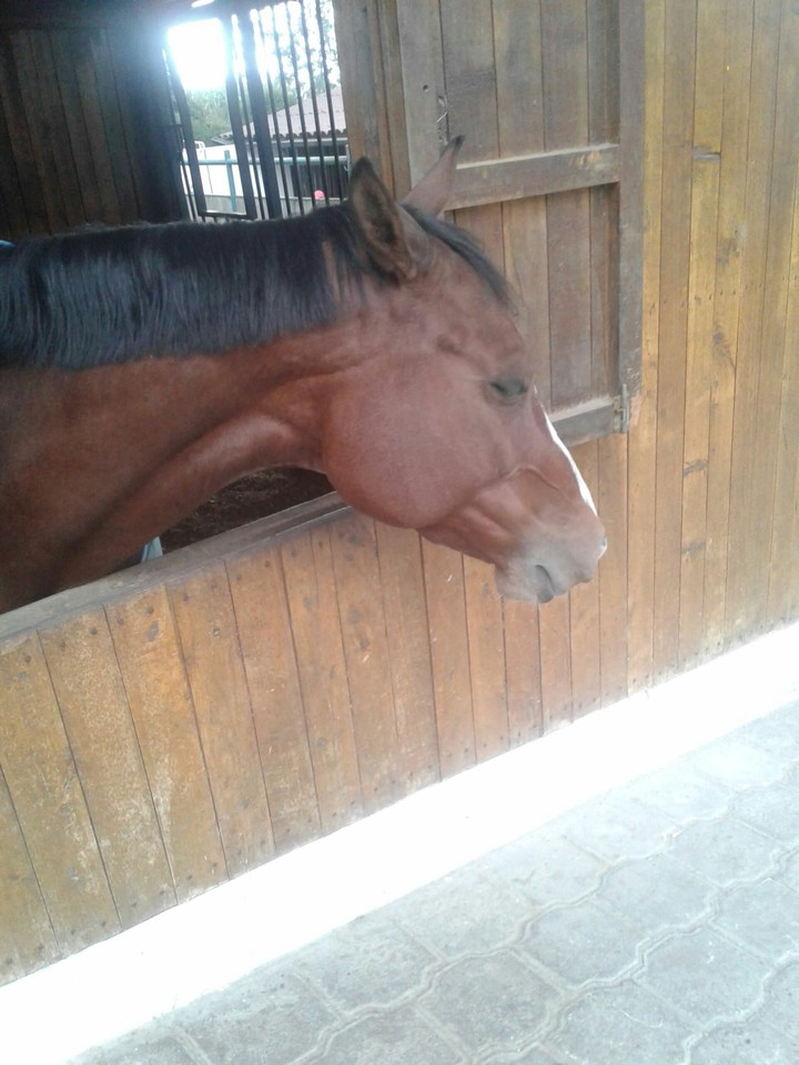 my best friend