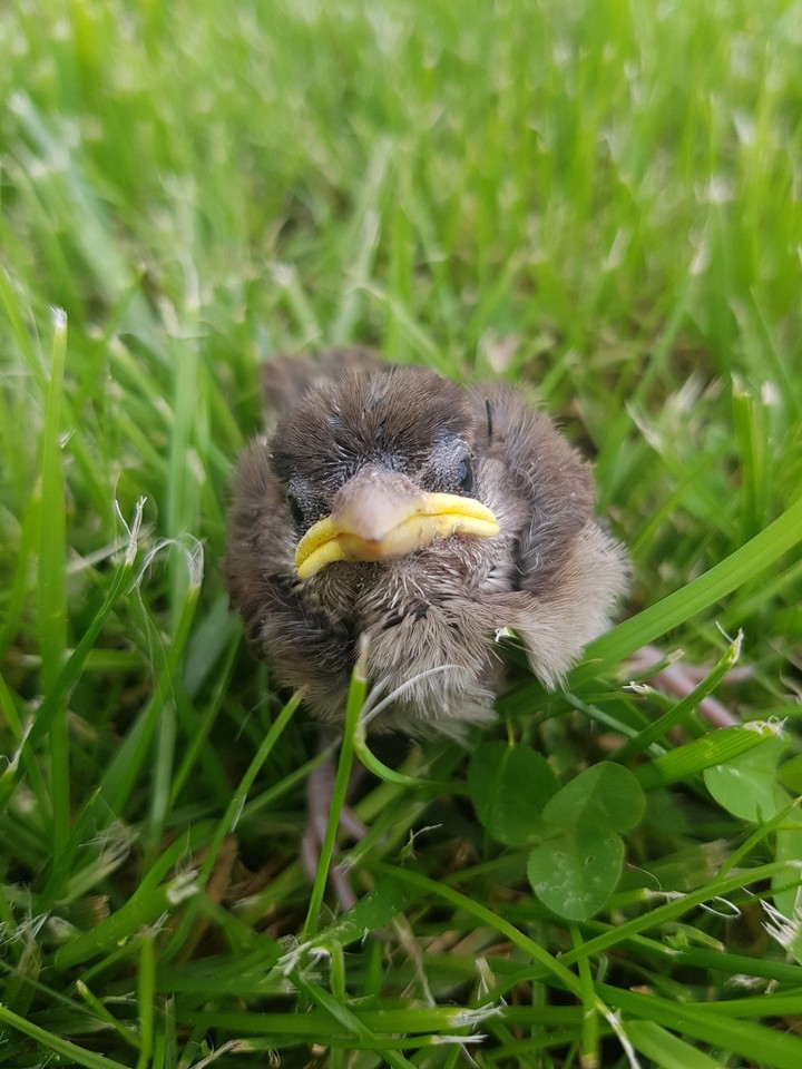 Bird was like :Wazaaap?!!?:))