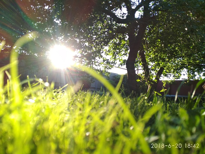The lights of a sun