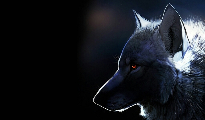 Alpha wolf