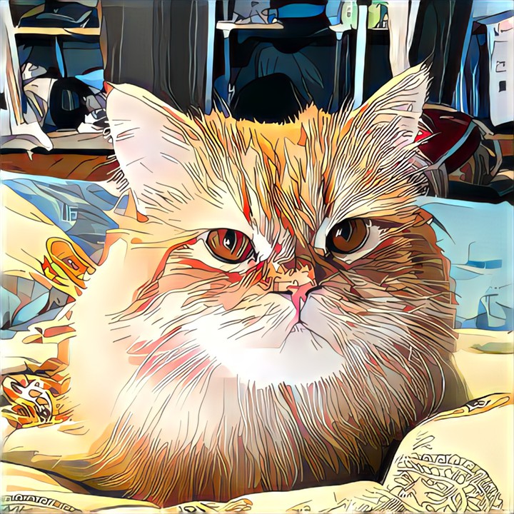 кот