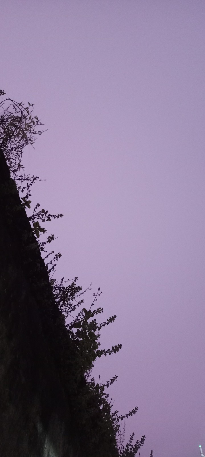 purple sky
