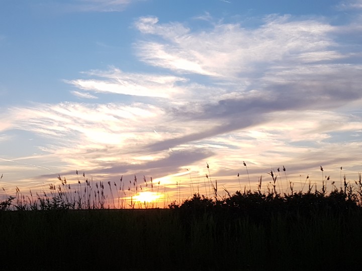 Summer Sunset