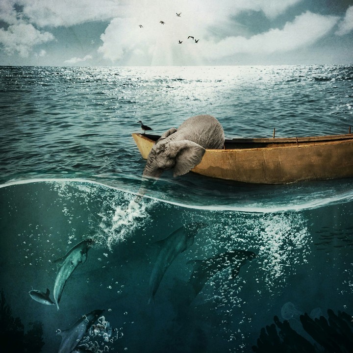 elephant boat