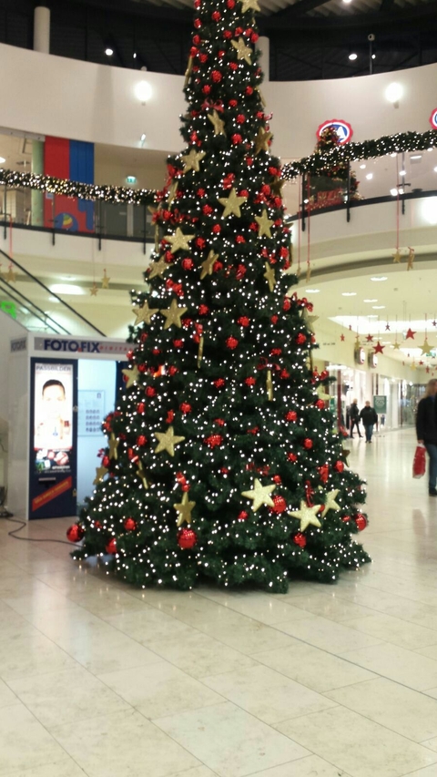 Chrismas, Chrismas_tree