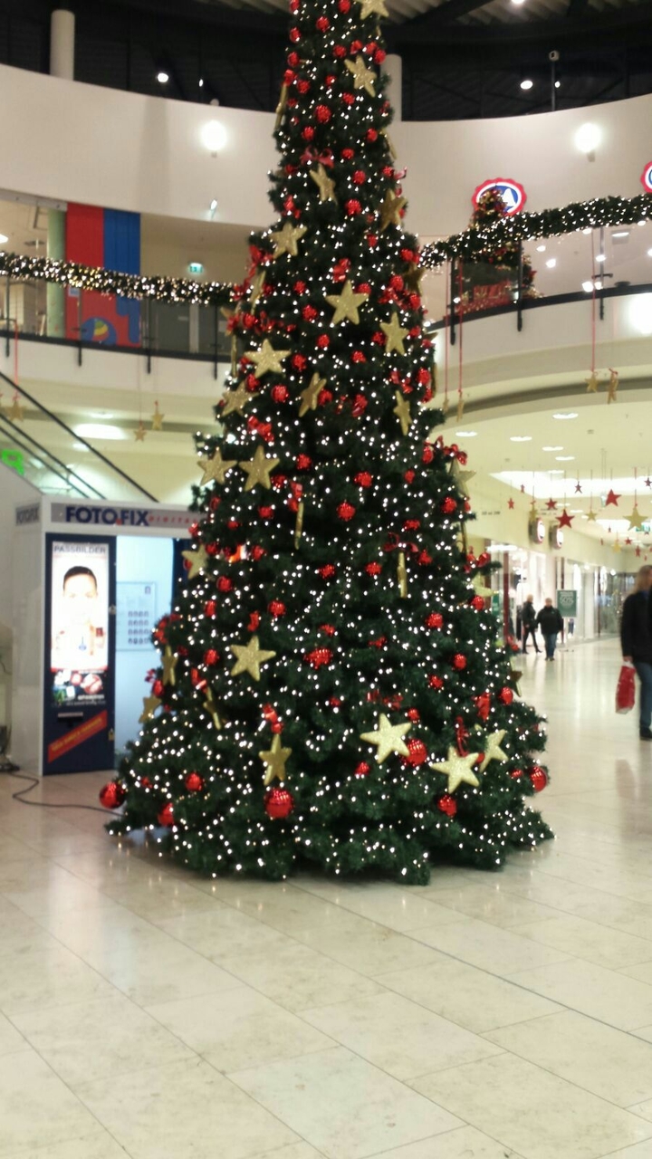 Chrismas, Chrismas_tree