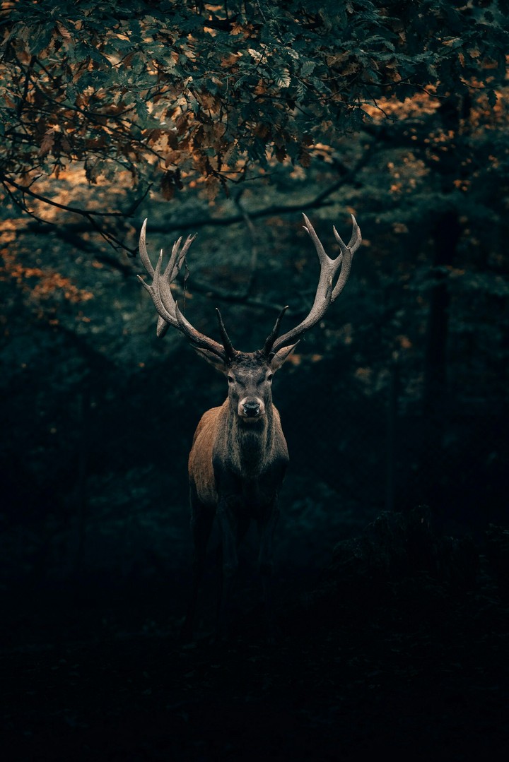 Perfection!