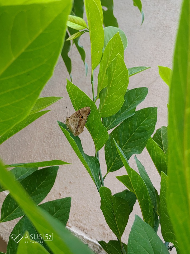 I love the nature and it loves me back