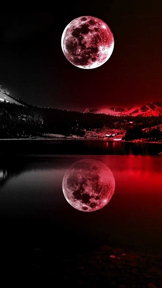 gorgeous wallpaper