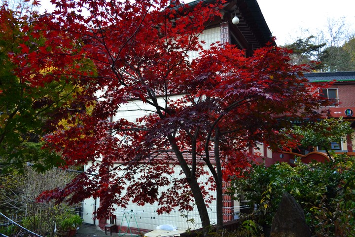 산이미지