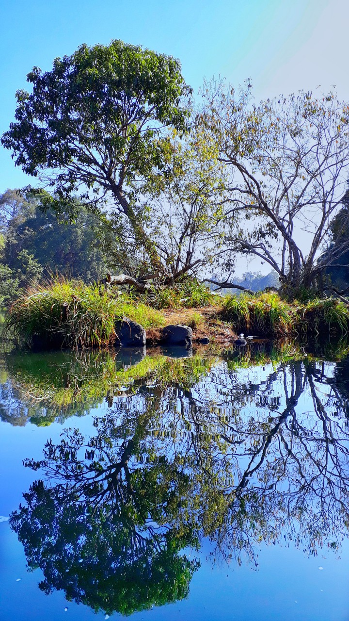Reflection