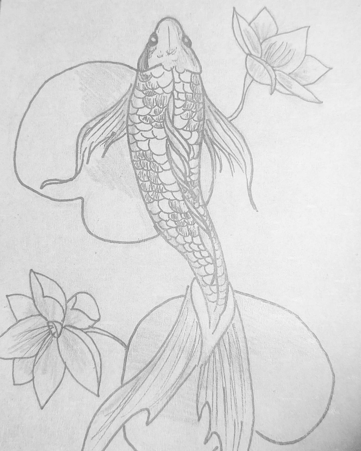 рисунок кои