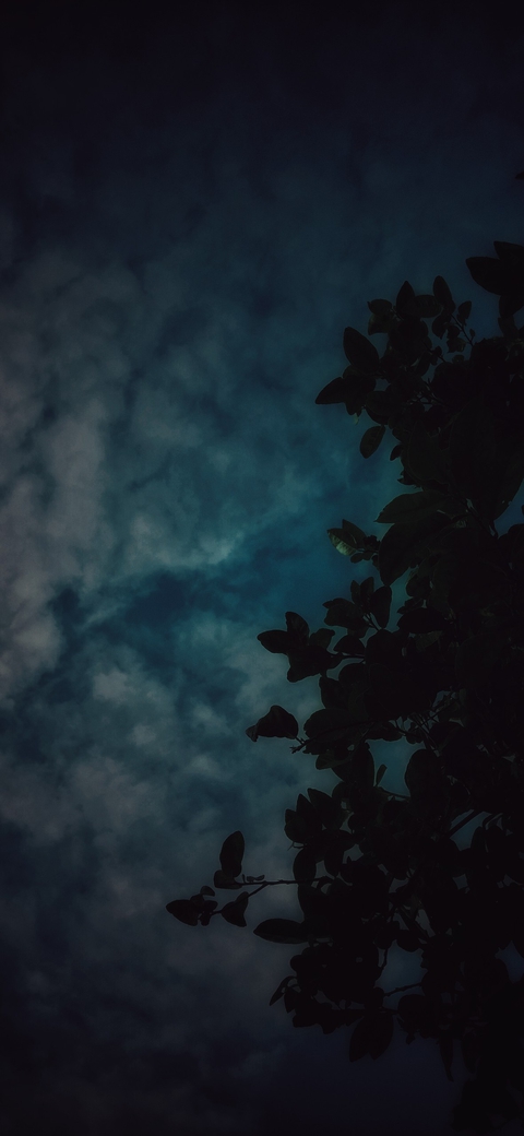 sky