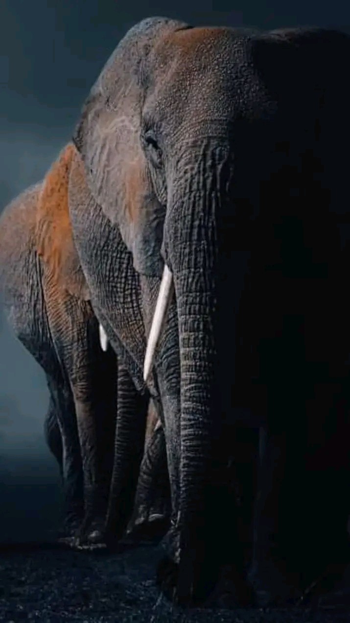 .