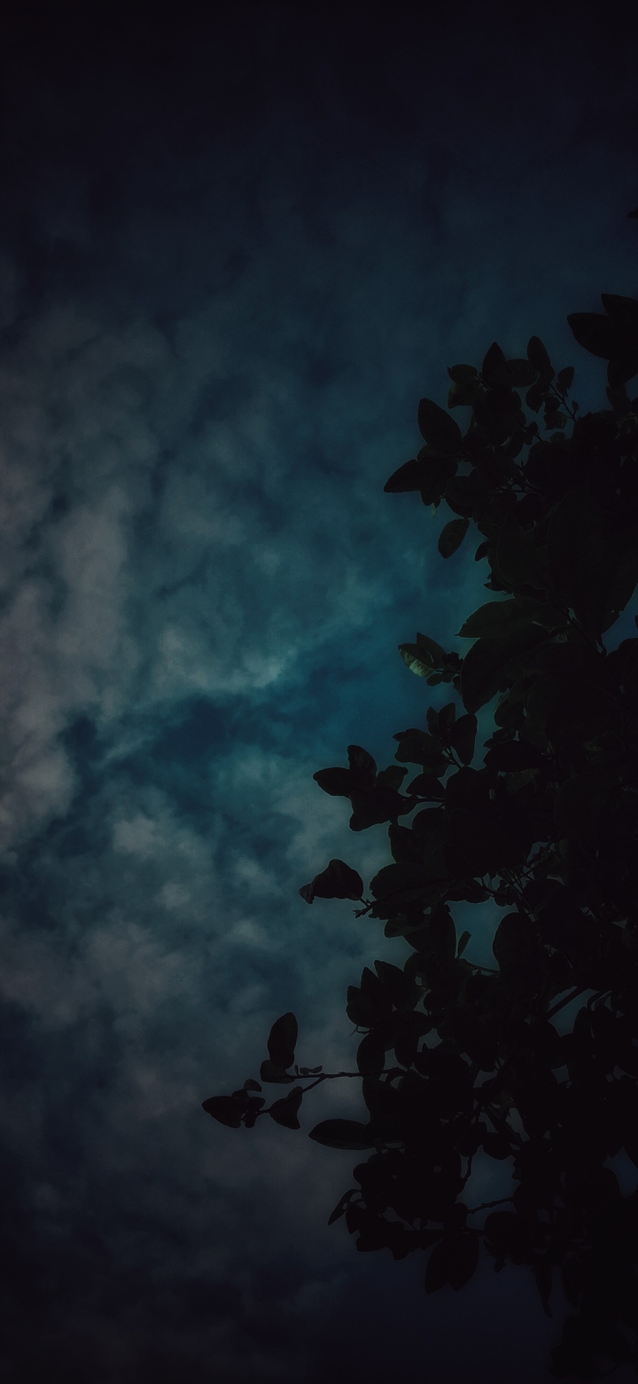 sky