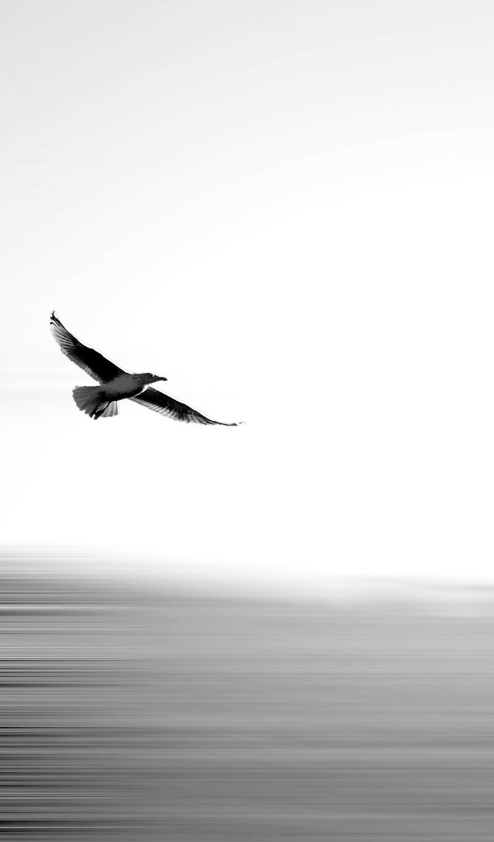 Above the sea