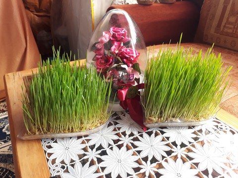 Happy Spring ❤ Happy Nowruz