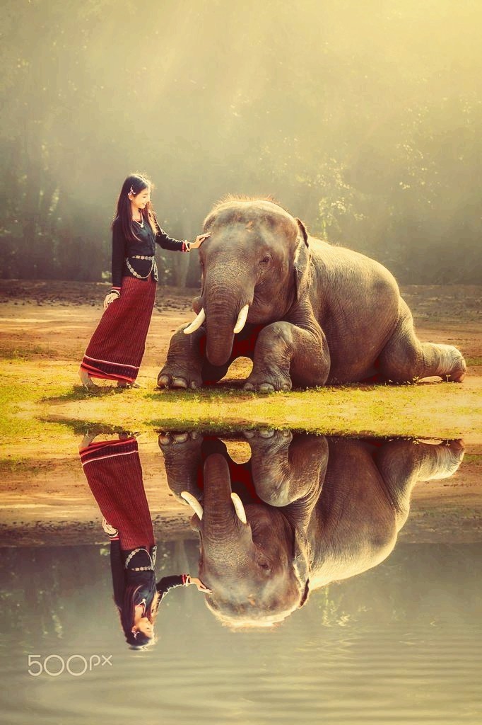 girl and elephnt