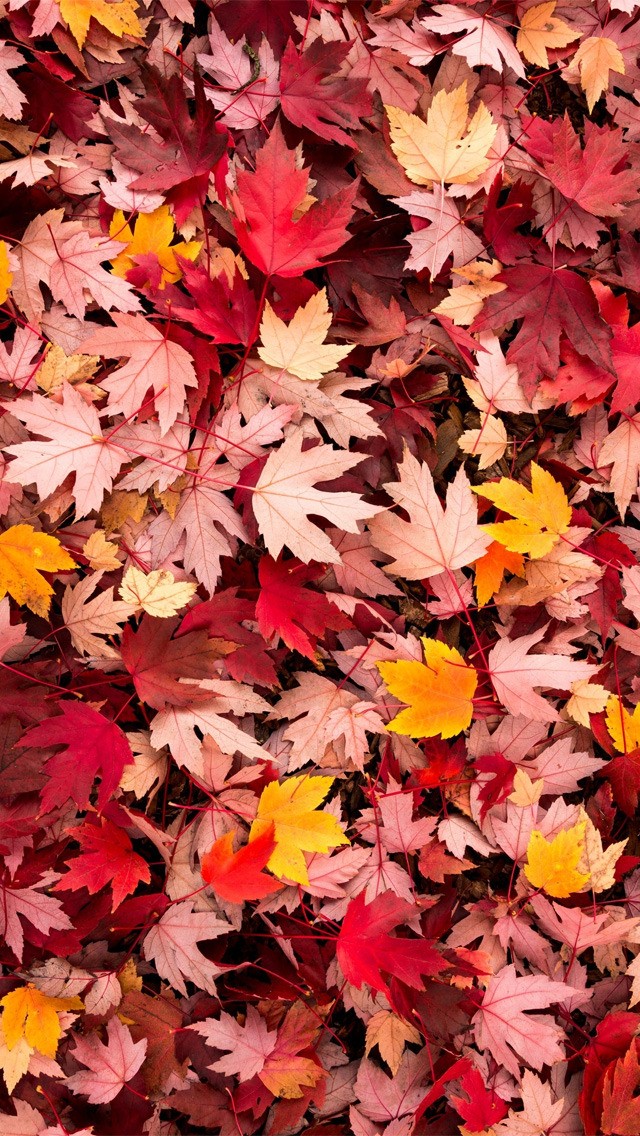 Winter leef