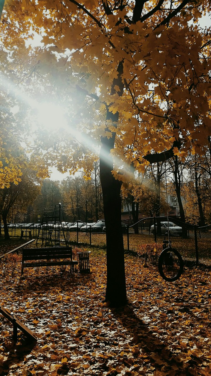 Mellow autumn