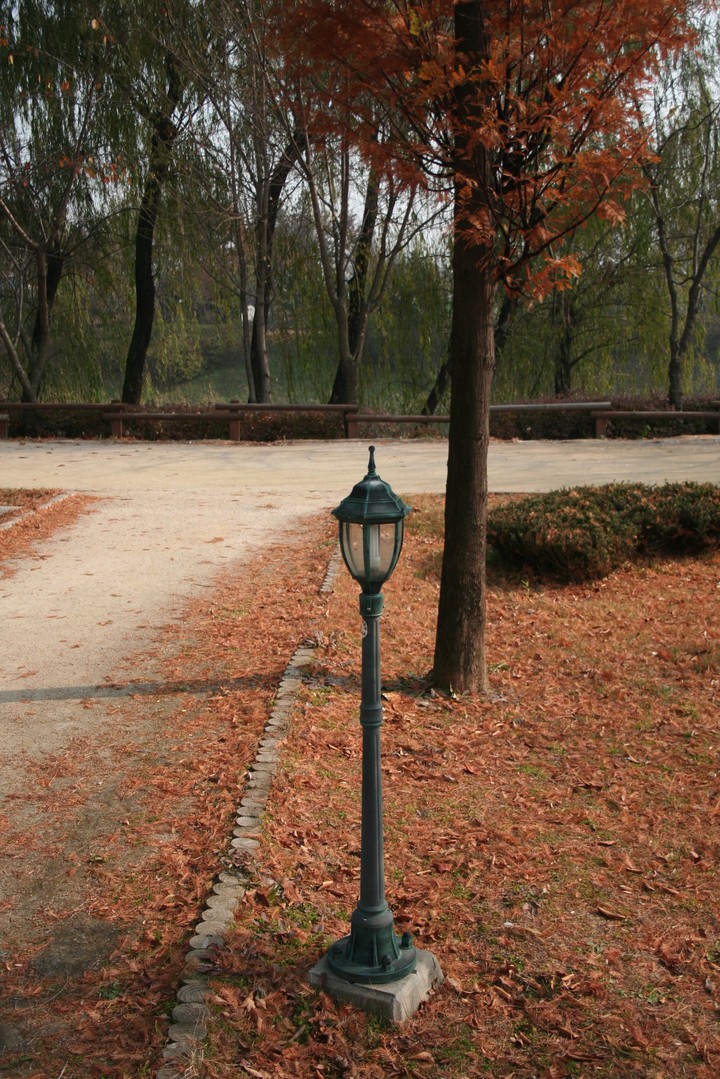 Autumn
