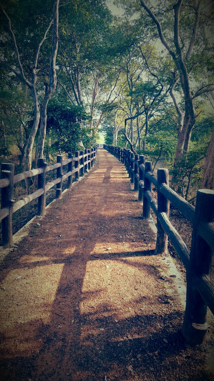 Nawabganj bird sanctuary