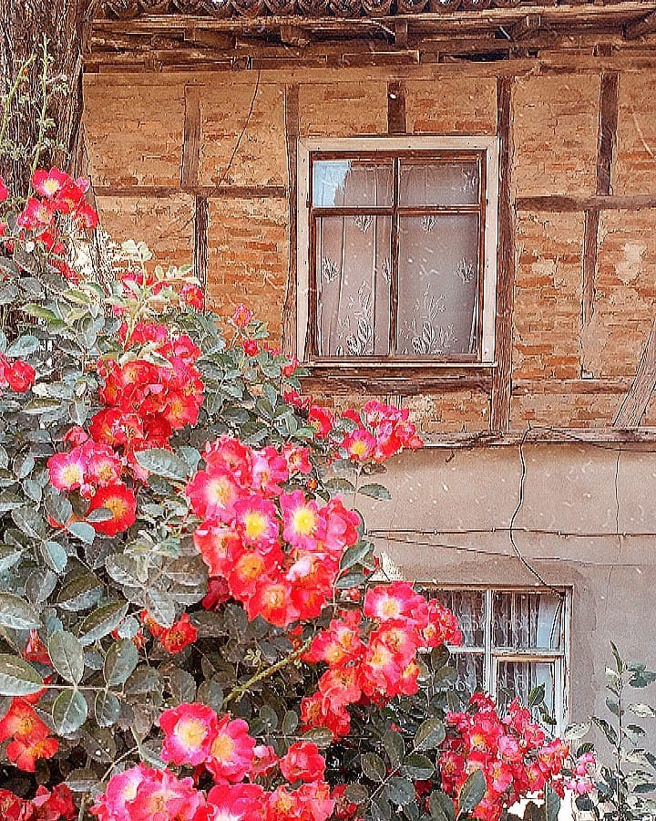 lovely window