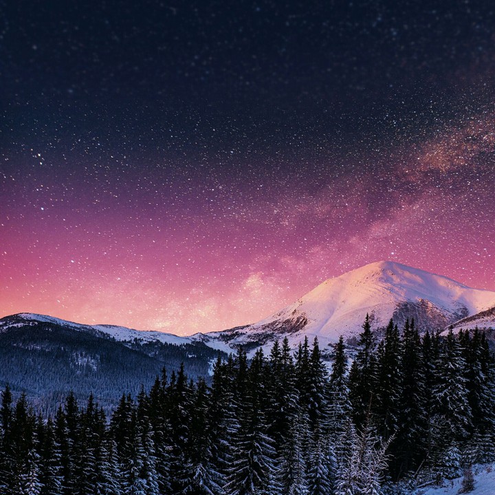 Amazing nature wallpaper