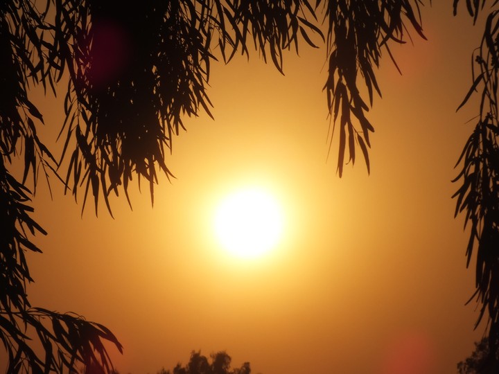 sun