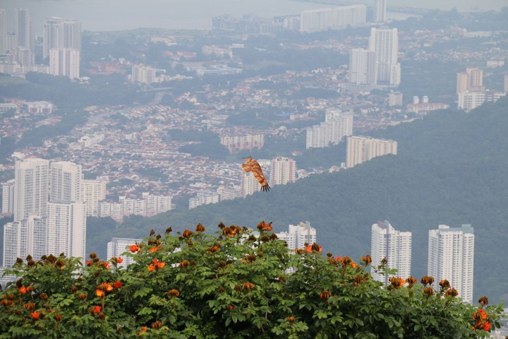 penang hill