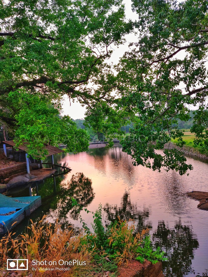 kerala river
