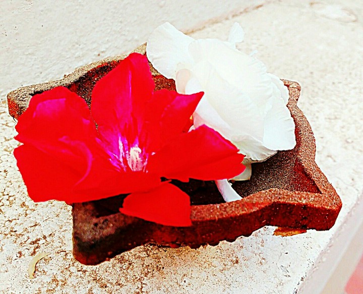 flower Diva
