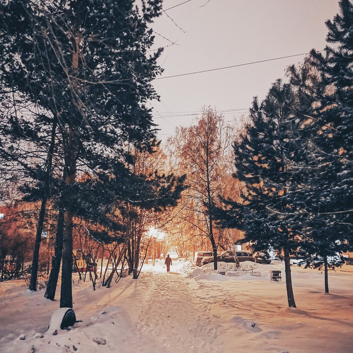 Winter in the city