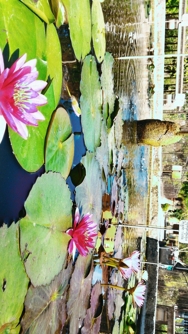 nature#3