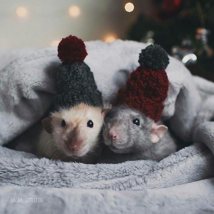 ~