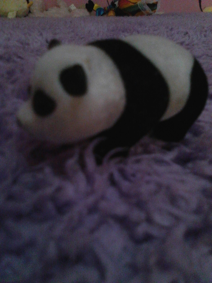 PANDITA