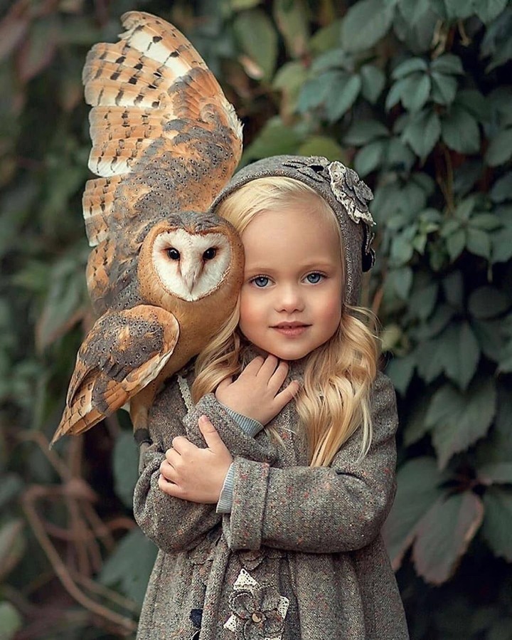 owl-"i can pose too "