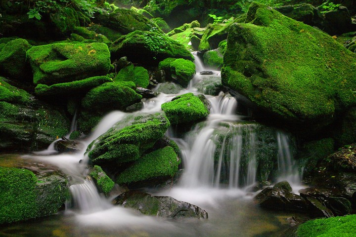 nature