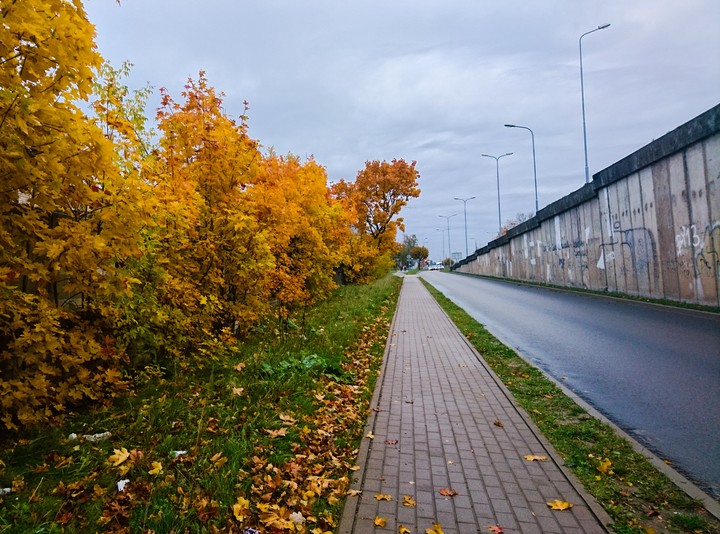 Autumn