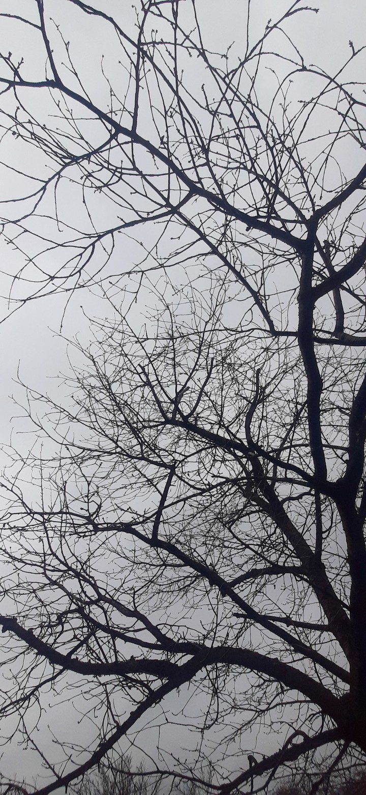 emptiness