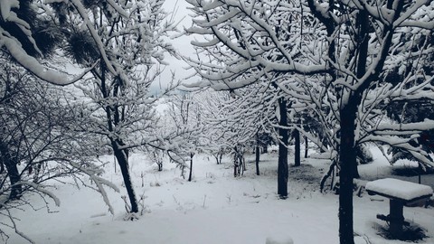 winter is coming ☃