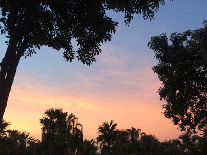 They came for exercise & looked at this wonderful sky!