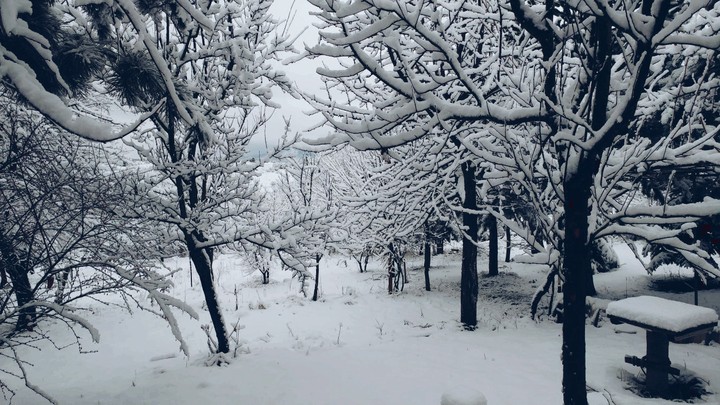 winter is coming ☃