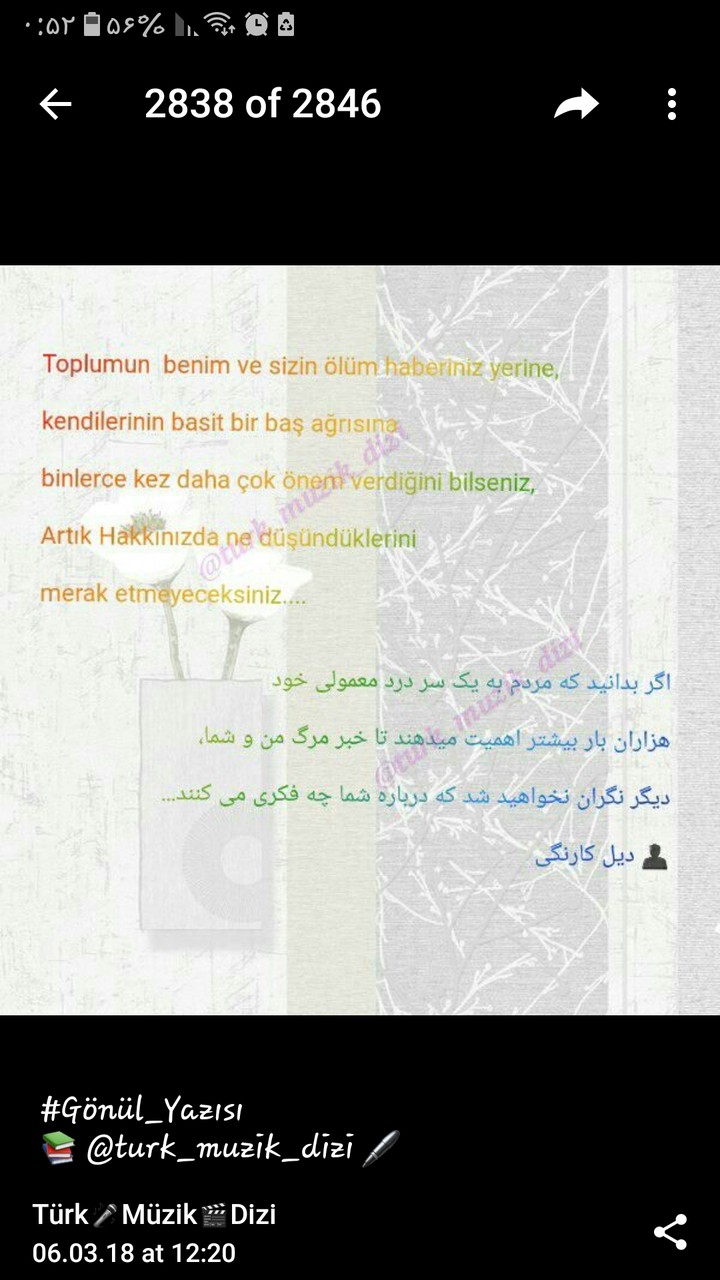سخن برتر