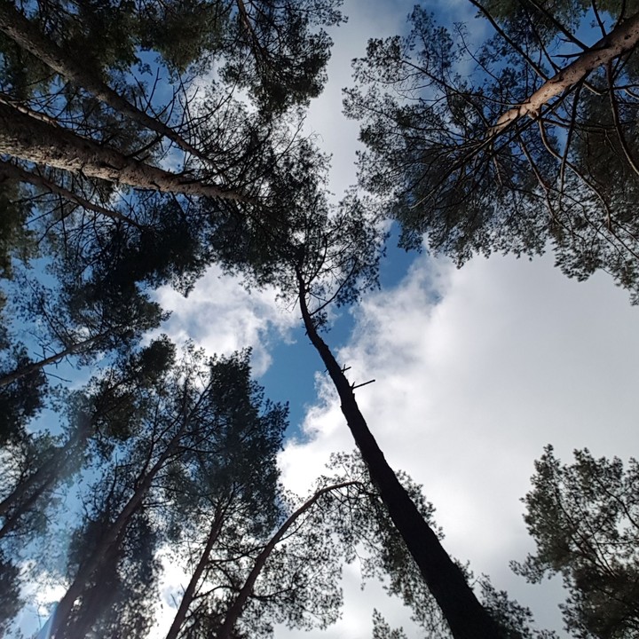 clouds