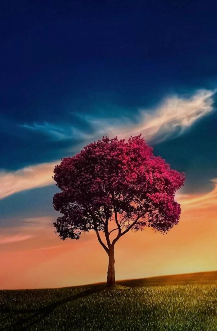 colours of nature