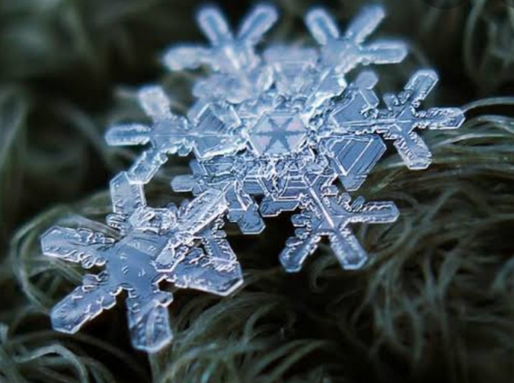 wow❄️