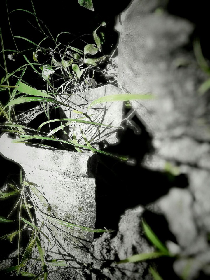 Abundant
